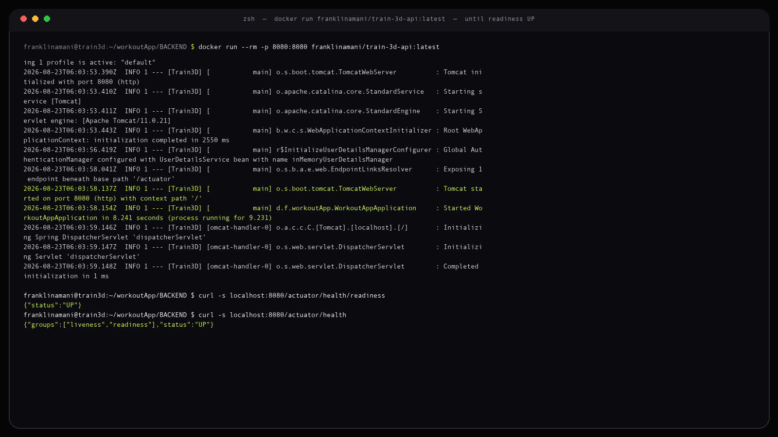 Terminal capture of ./mvnw spring-boot:run starting Train3D